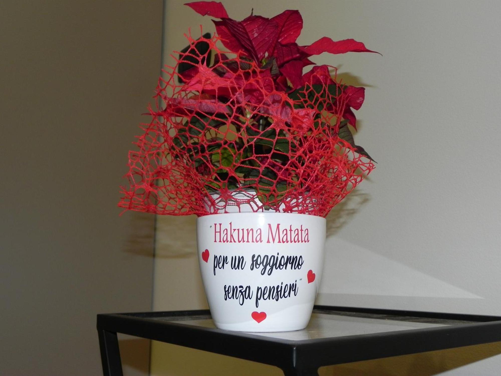 Hakuna Matata B&B Pescara Exteriér fotografie
