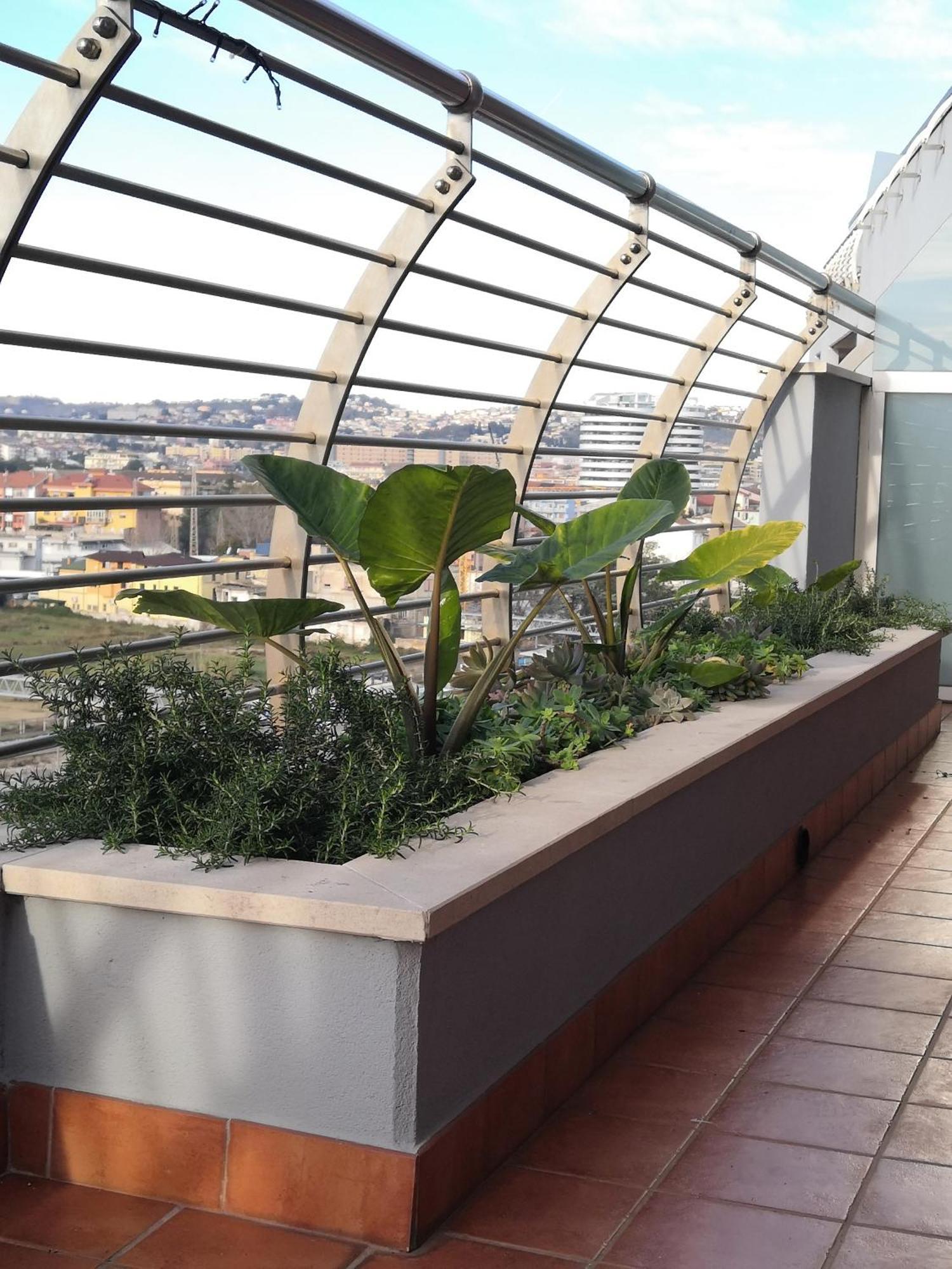 Hakuna Matata B&B Pescara Exteriér fotografie