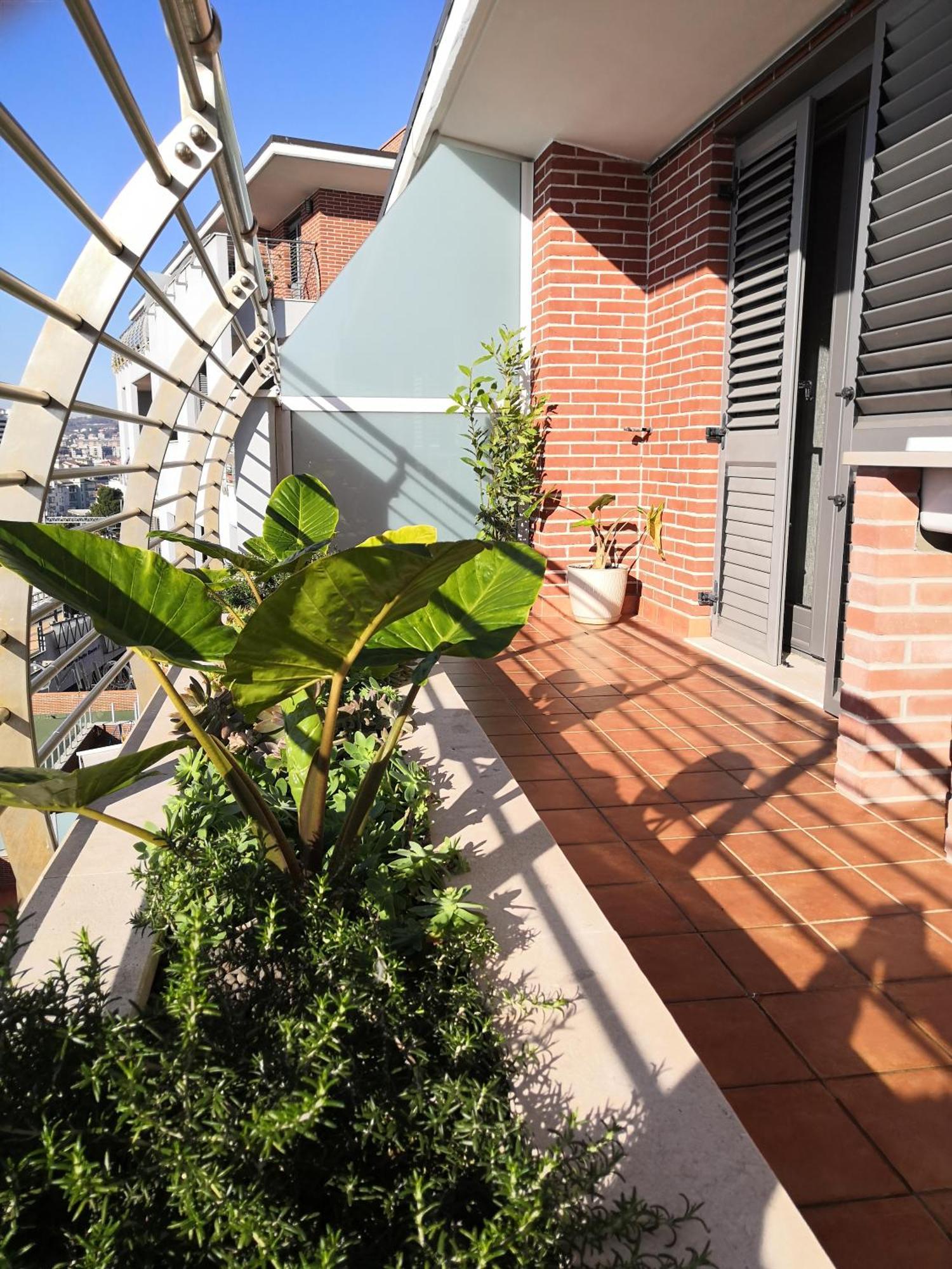 Hakuna Matata B&B Pescara Exteriér fotografie